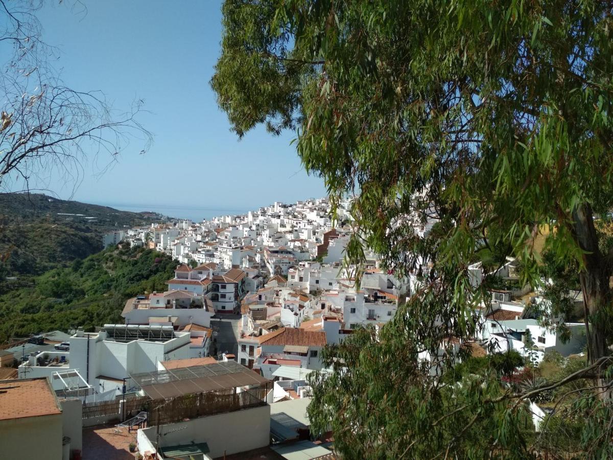 Villa Las Encinas Costa Del Sol トロクス・コスタ エクステリア 写真