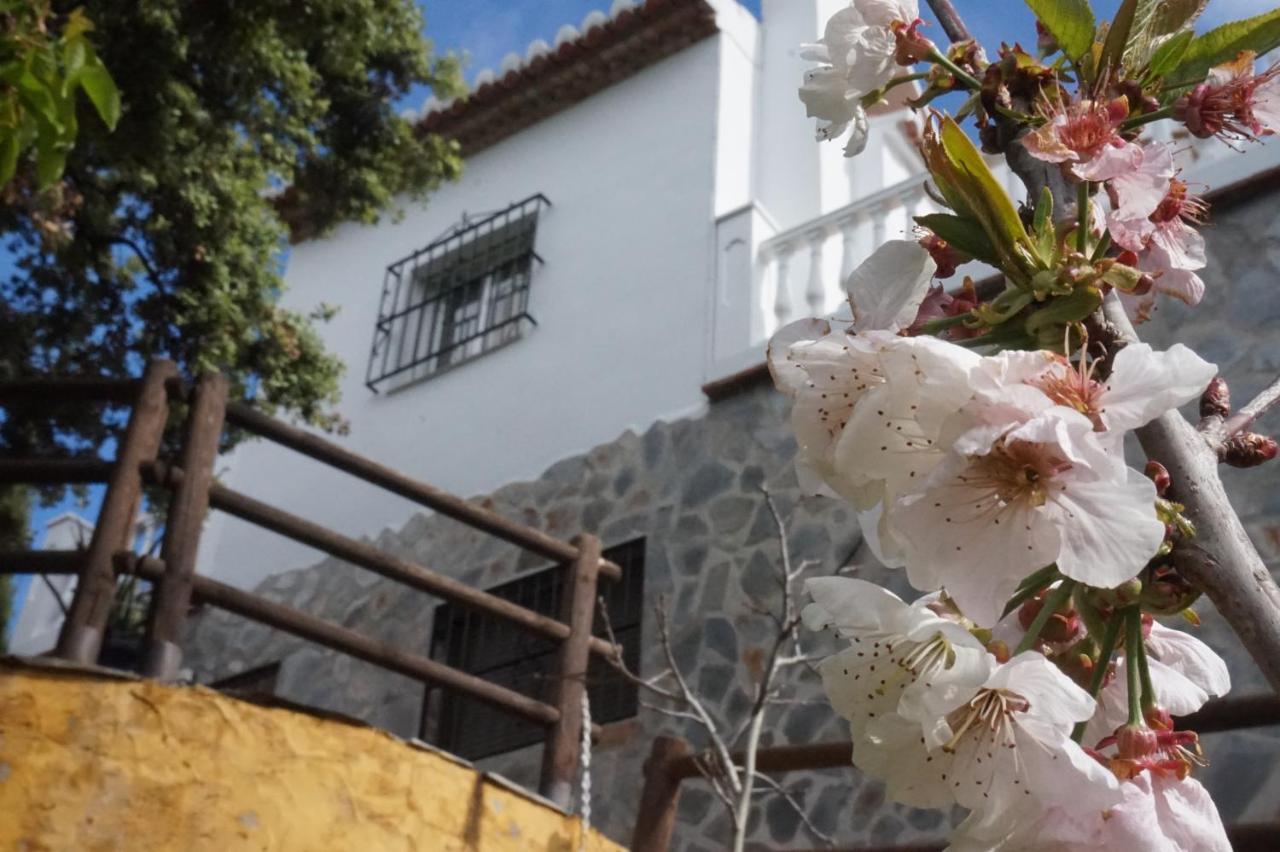 Villa Las Encinas Costa Del Sol トロクス・コスタ エクステリア 写真